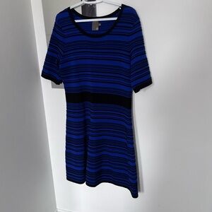 Taylor Blue and Black Striped Mini Dress